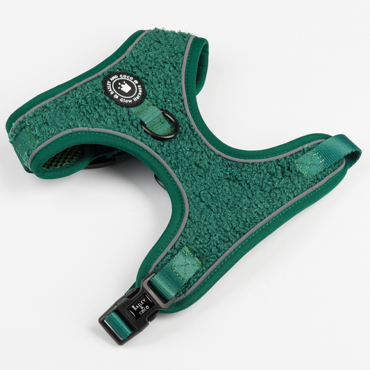 Adjustable Glow Harness® - Emerald Teddy